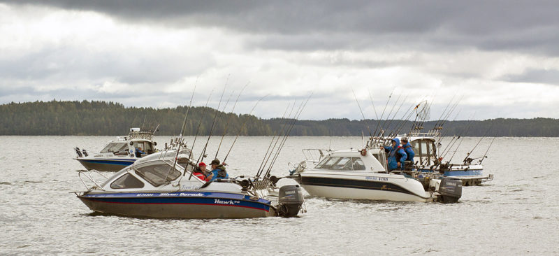 Puruveden lohikuningas