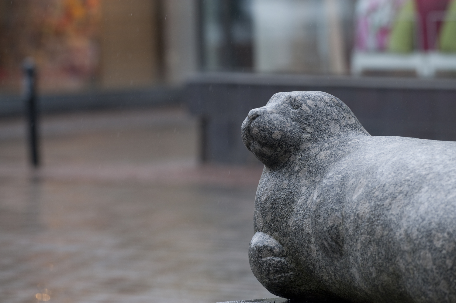 Statue, Saimaa Ringed Seal, Saimaan norppa, Lappeenranta © Yrjö Utti 2013 - ???? © ???? ????