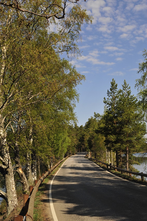 LUOTUO, Pyöräillen Punkaharjulla, B&B Majoitus Hepokatti © Yrjö Utti 2016