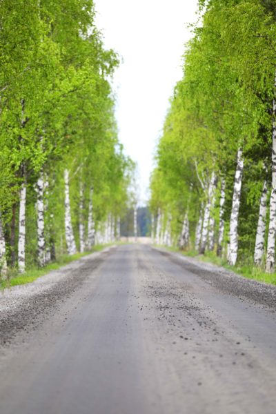 onnentunnetta loikansaaren lomamökit