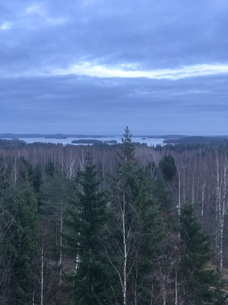 Linnansaari pikkujoulut Järvisydämessä